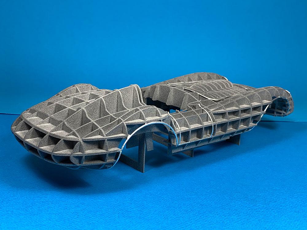 Scarab_IMG_1128_1000x750_01