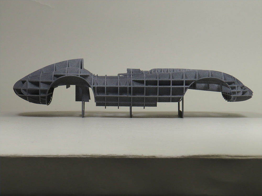 Scarab_IMG_6632_1000x750_01